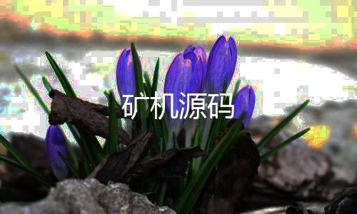 矿机源码-拉霸系统-zunyueyuanma.com