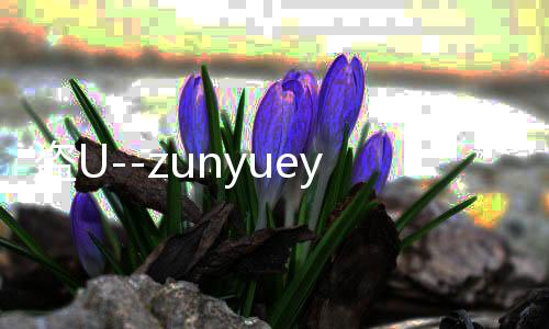 盗U--zunyueyuanma.com