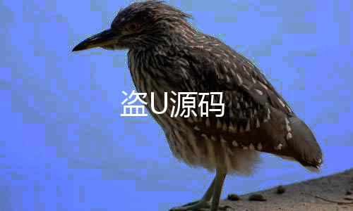 盗U源码-海外理财-zunyueyuanma.com