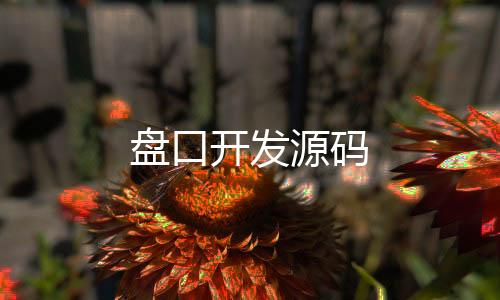 盘口开发源码-大富豪源码-zunyueyuanma.com