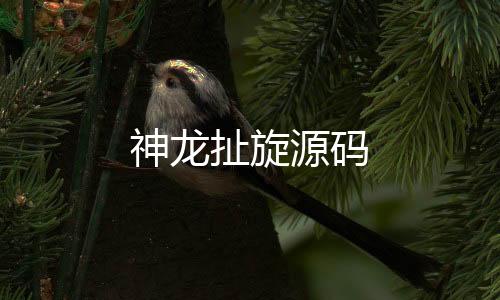 神龙扯旋源码-盘口搭建源码-zunyueyuanma.com
