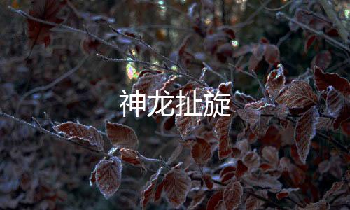 神龙扯旋-美国股票-zunyueyuanma.com