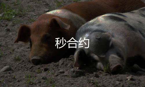 秒合约-现金盘源码-zunyueyuanma.com