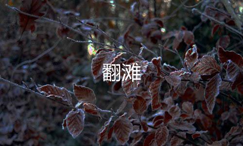 翻滩-海外理财源码-zunyueyuanma.com
