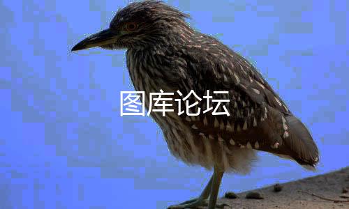 图库论坛-交割合约源码-zunyueyuanma.com