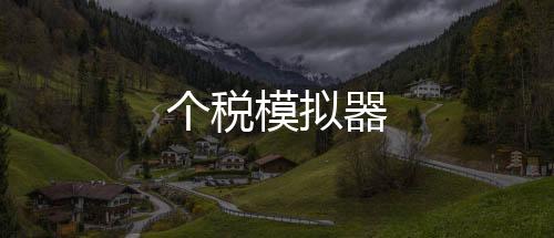 个税模拟器-数据系统-zunyueyuanma.com