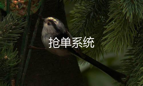 抢单系统-海外投资源码-zunyueyuanma.com