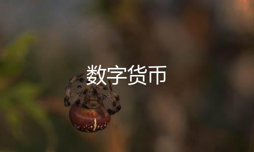 数字货币-IM聊天-zunyueyuanma.com