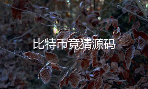 比特币竞猜源码-综合盘-zunyueyuanma.com