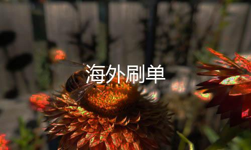 海外刷单-海外投资源码-zunyueyuanma.com