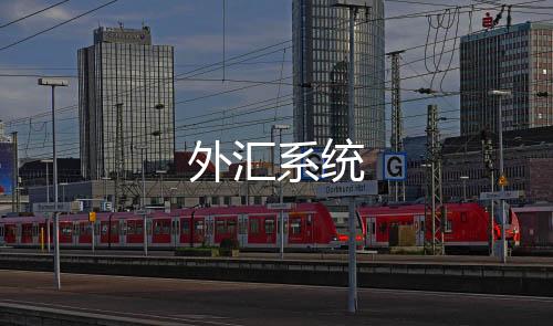 外汇系统-跑胡子-zunyueyuanma.com