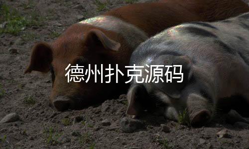 德州扑克源码-海外拉霸slot源码-zunyueyuanma.com