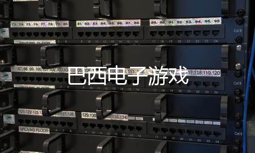 巴西电子游戏-盘口搭建源码-zunyueyuanma.com