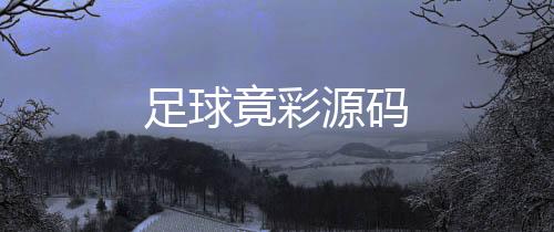 足球竟彩源码-个税模拟器-zunyueyuanma.com