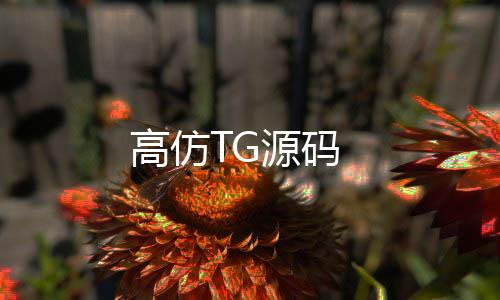 高仿TG源码-越南棋牌源码-zunyueyuanma.com