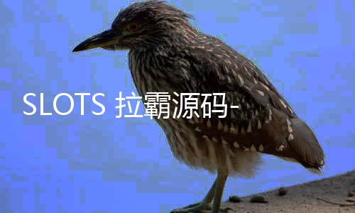 SLOTS 拉霸源码--zunyueyuanma.com